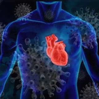коронавирус и сердце